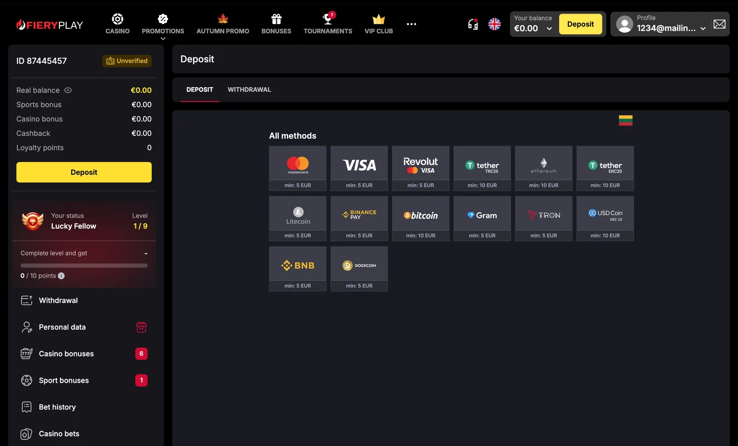 Fieryplay Casino Lietuva mokėjimo metodų puslapis kasoje